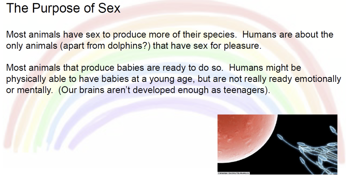 What Hutt Valley High School is teaching kids about sex - Plain Sight
